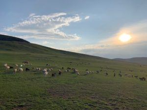 モンゴルの風景