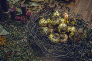 アマリリスの球根